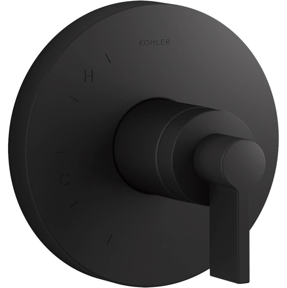 Components Rite-Temp valve trim with Lever handle