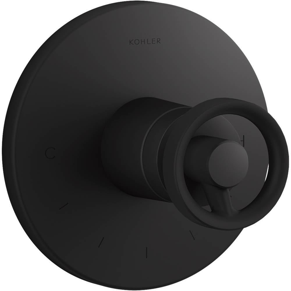 Components MasterShower temperature control valve trim with Industrial handle