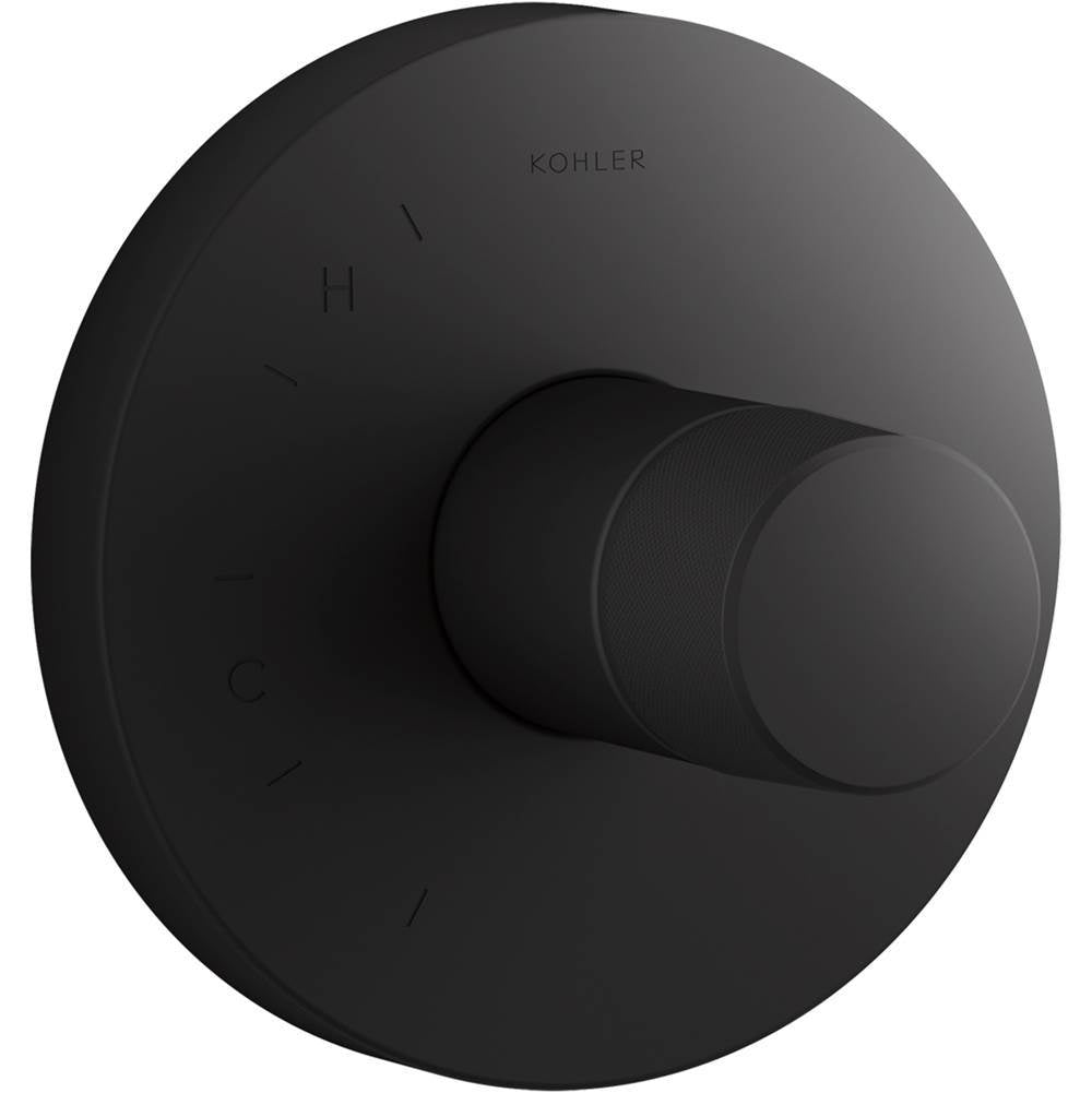 Components Rite-Temp valve trim with Oyl handle