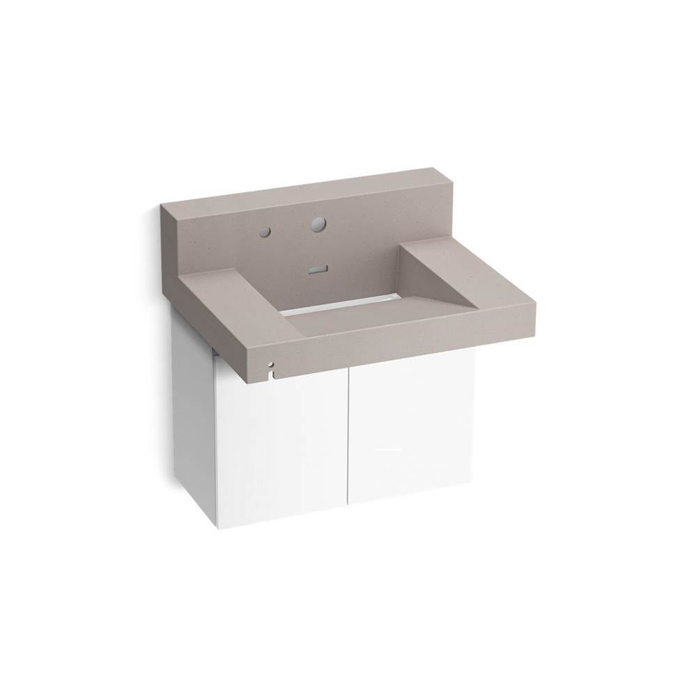 Constellation 30" wall-mount lavatory system with backsplash