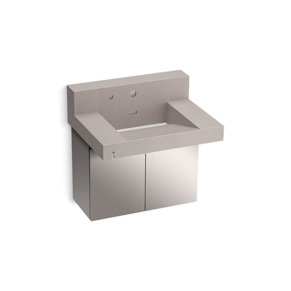 Constellation 30" wall-mount lavatory system with backsplash