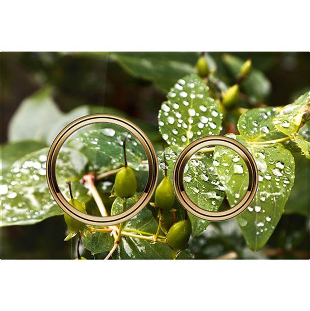 Actuator Plate Sigma21 For Dual Flush, Metal Colour Brass: Brass, Black Walnut