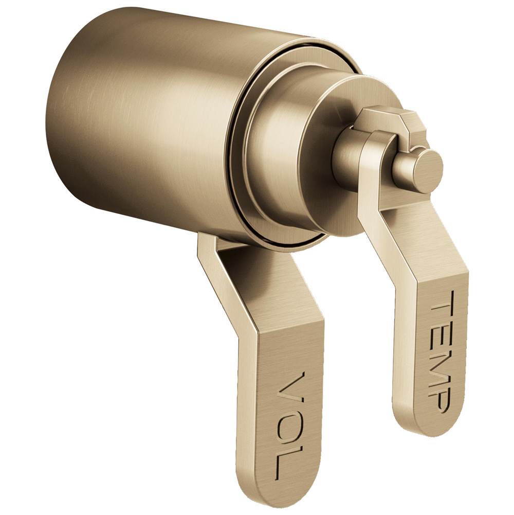 Litze TempAssure Thermostatic Valve Trim Industrial Lever Handle Kit