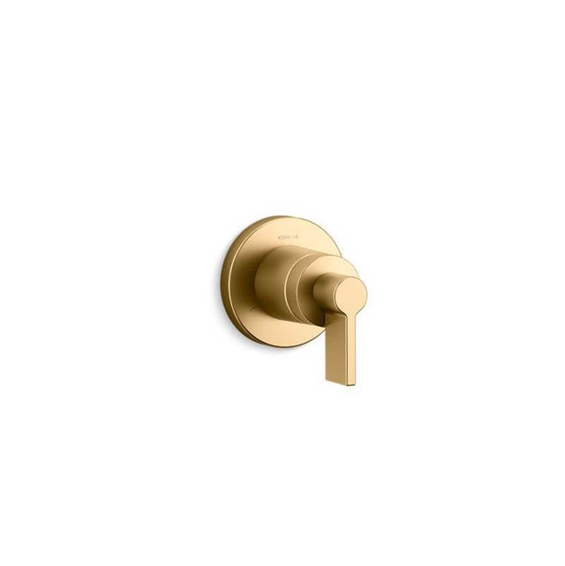 Components MasterShower volume control valve trim with Lever handle