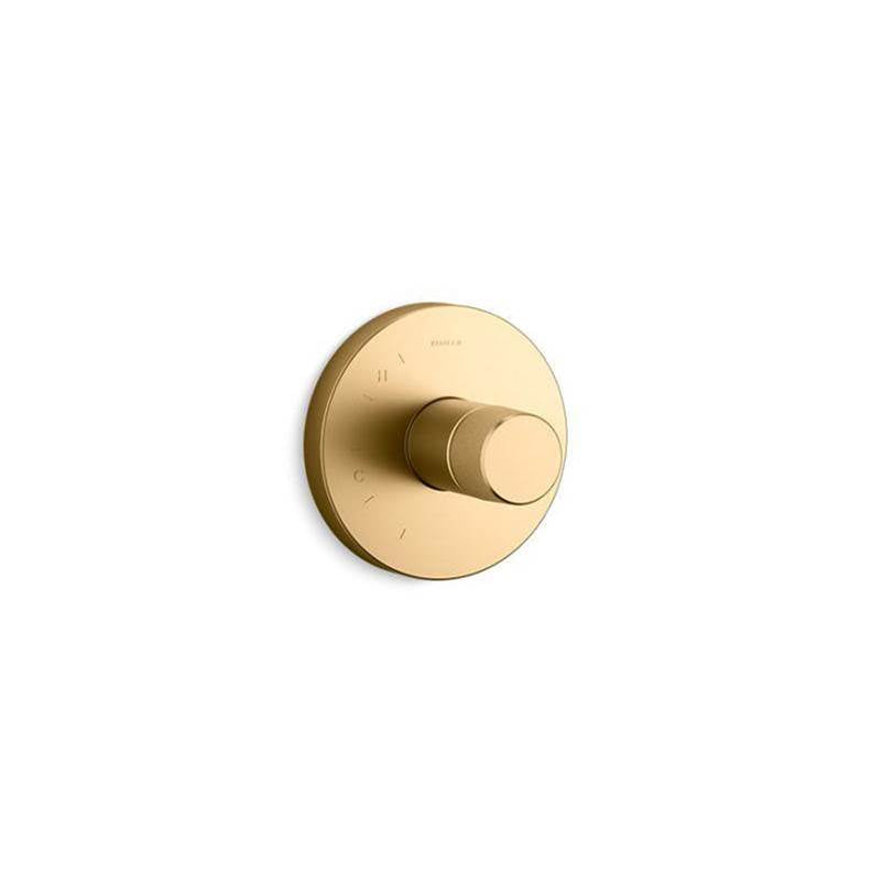 Components Rite-Temp valve trim with Oyl handle
