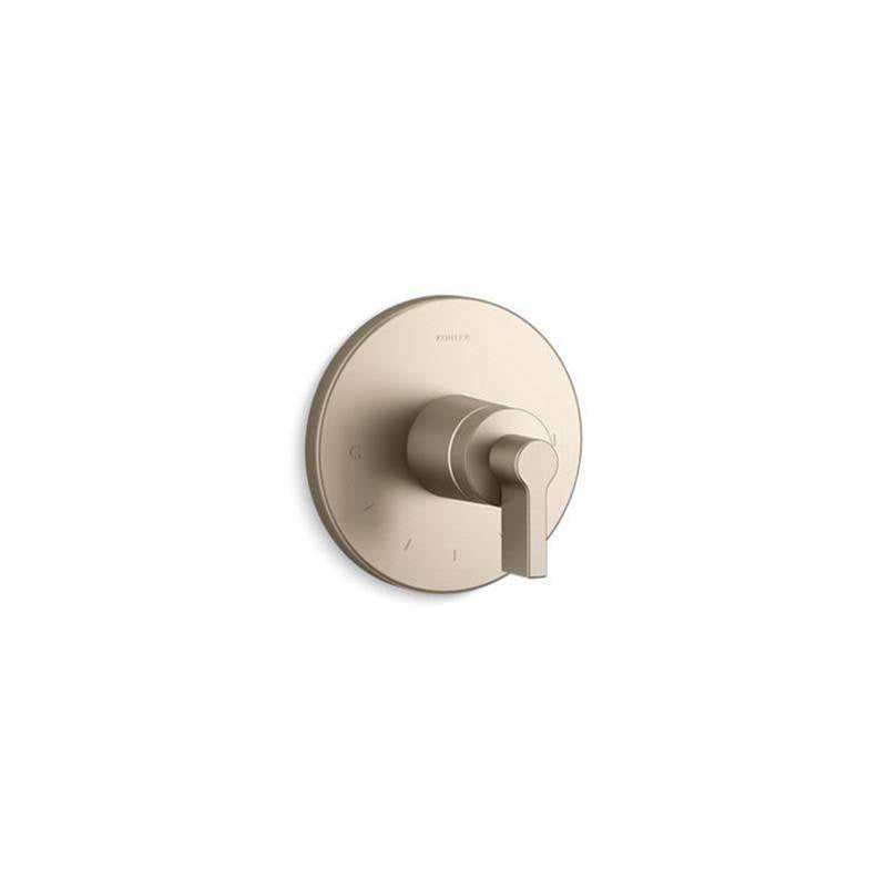 Components MasterShower temperature control valve trim with Lever handle