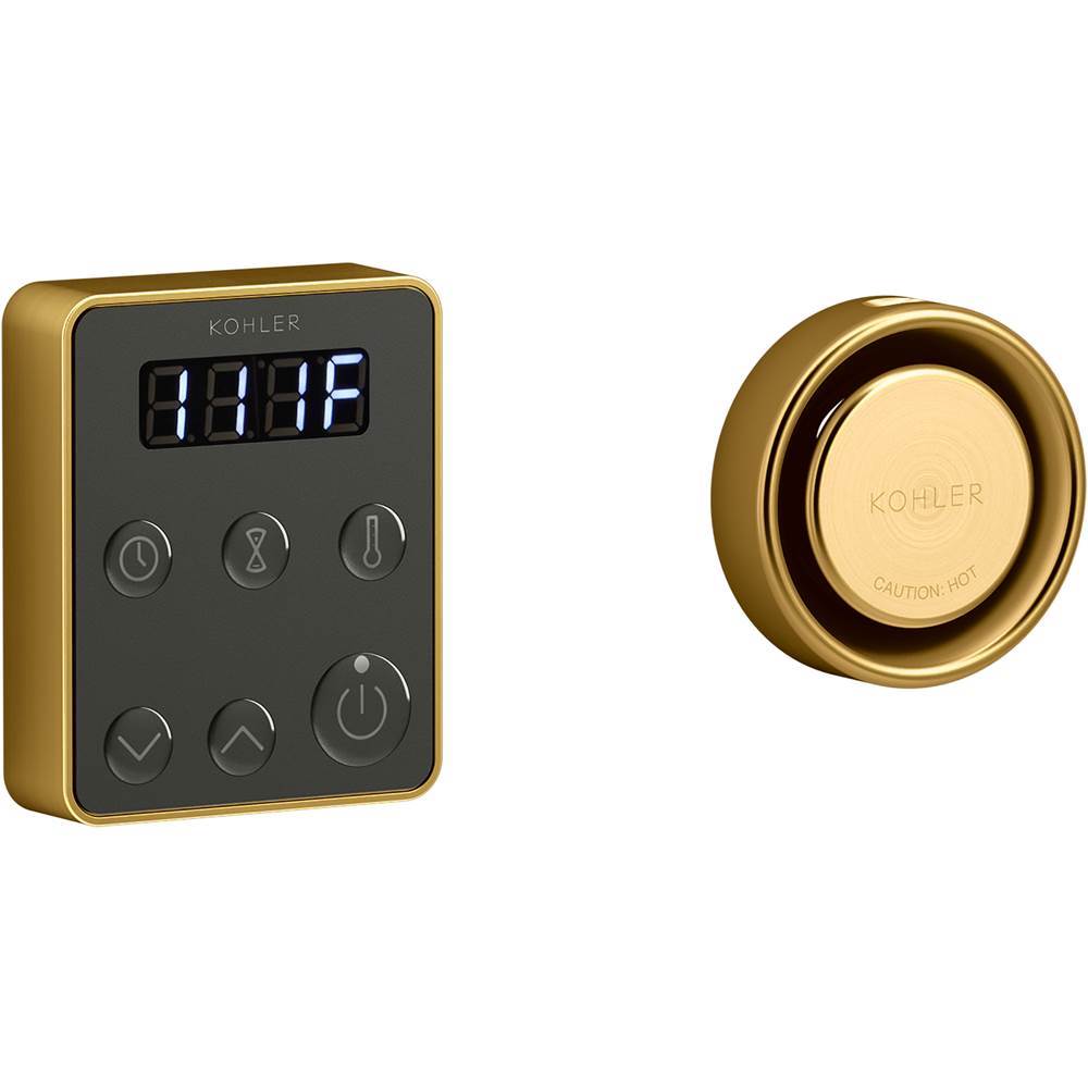 Invigoration Series Steam generator control kit