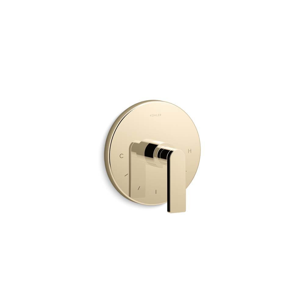 Composed MasterShower temperature control valve trim with lever handle