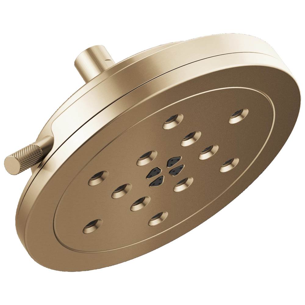 Litze  8" H2Okinetic&lt;sup&gt; &lt;/sup&gt; Round Multi-Function Wall Mount Showerhead