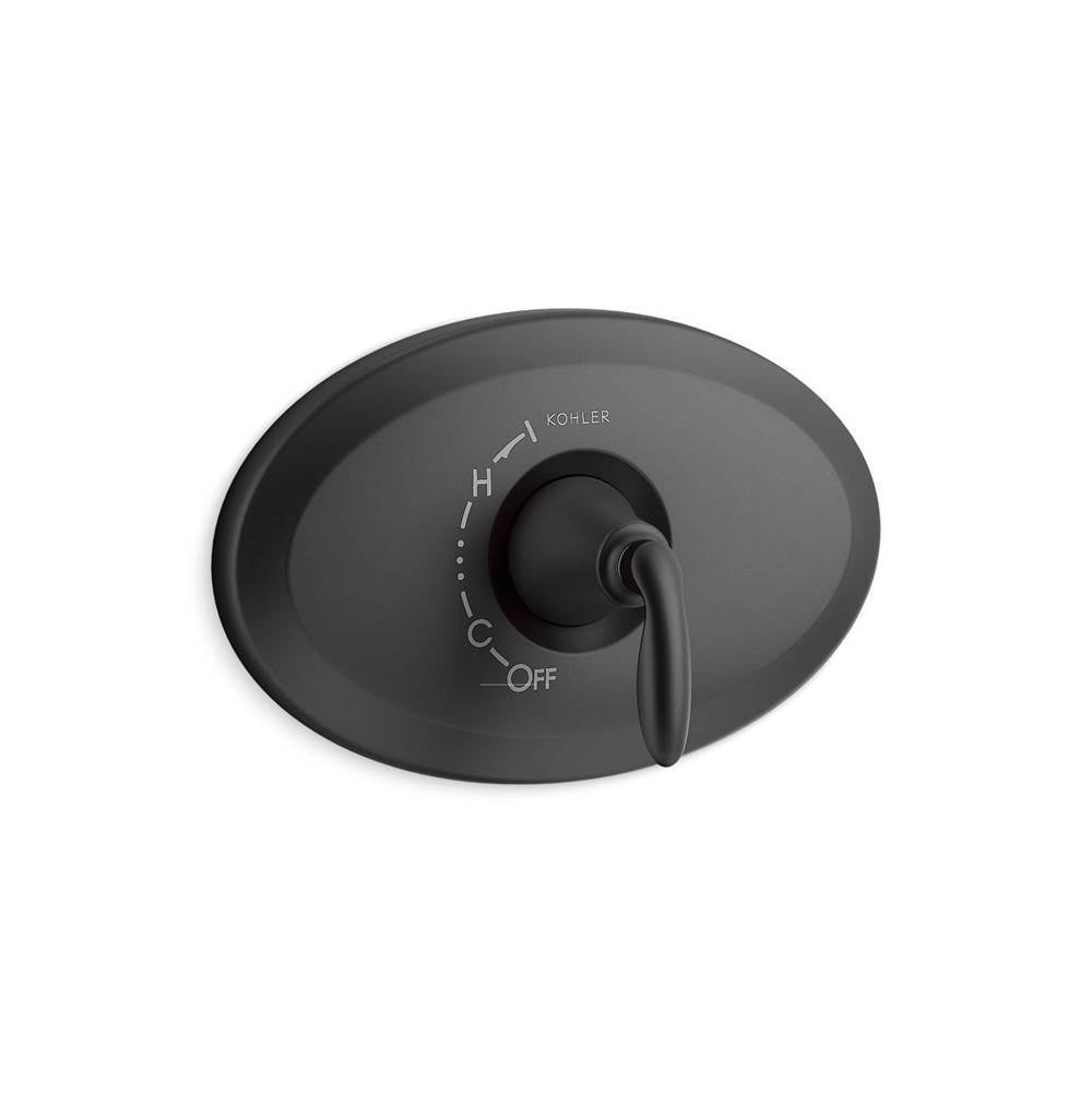Remodel Rite-Temp  valve trim