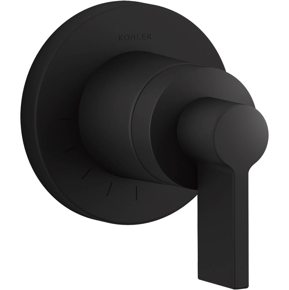 Components  MasterShower  volume control valve trim with Lever handle
