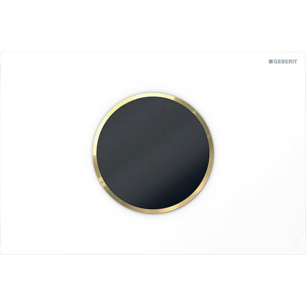 Wc Flush Control With Electronic Flush Actuation, Battery Operation, Dual Flush, Sigma10 Actuator Plate, Automatic/Touchless Brushed, Polished