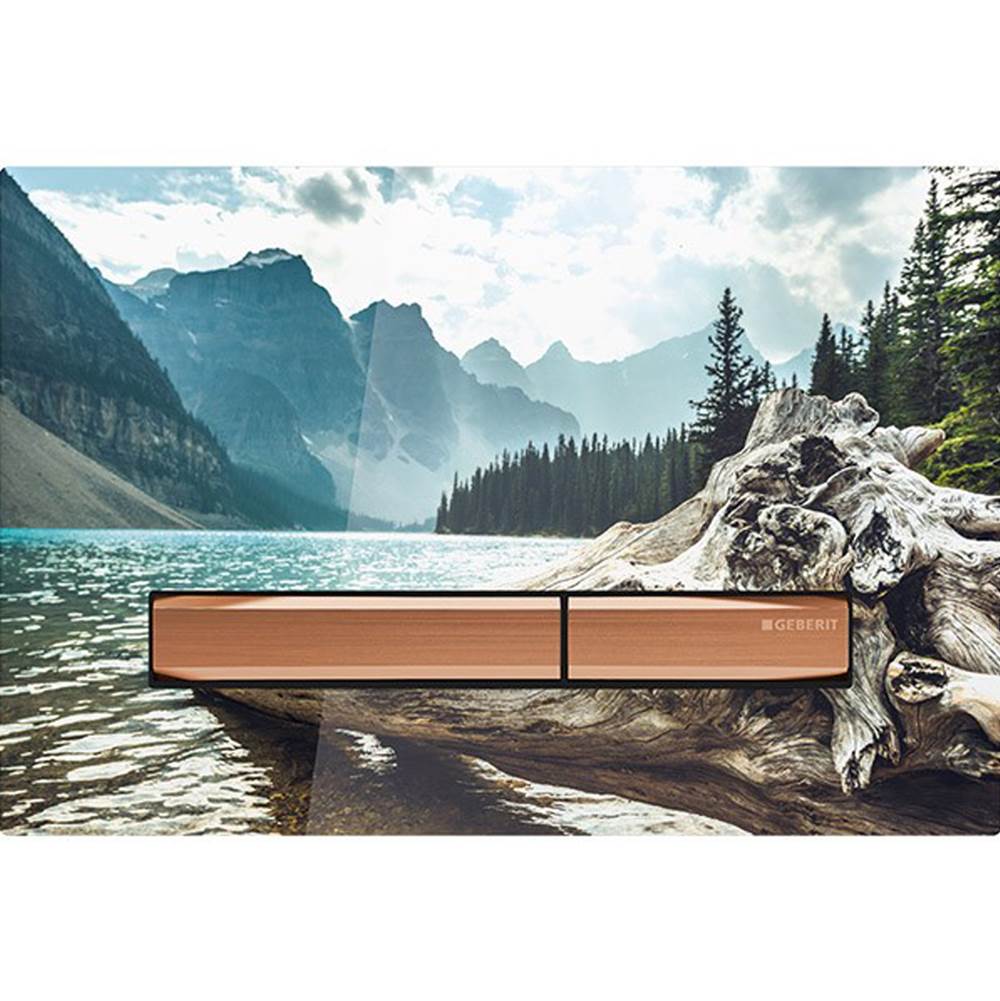 Actuator Plate Sigma50 For Dual Flush, Metal Colour Red Gold: Red Gold, Black Walnut