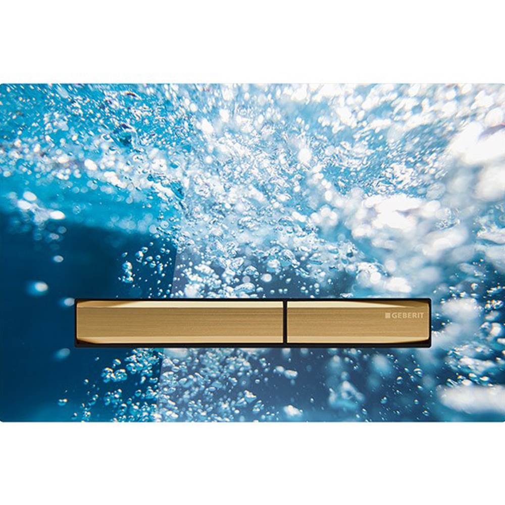 Actuator Plate Sigma50 For Dual Flush, Metal Colour Brass: Brass, Black Walnut