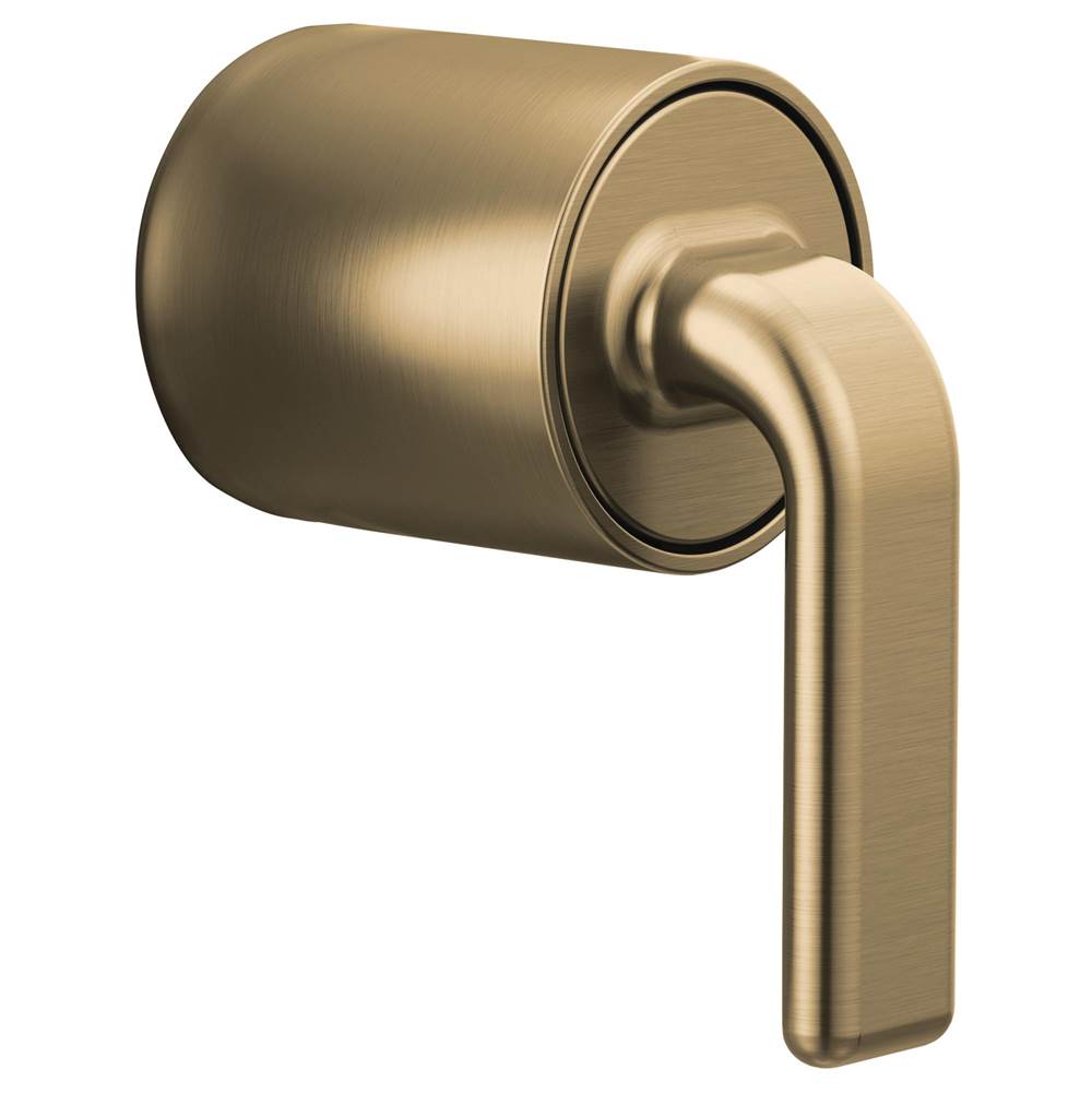 Allaria Pressure Balance Valve Trim Twist Lever Handle Kit
