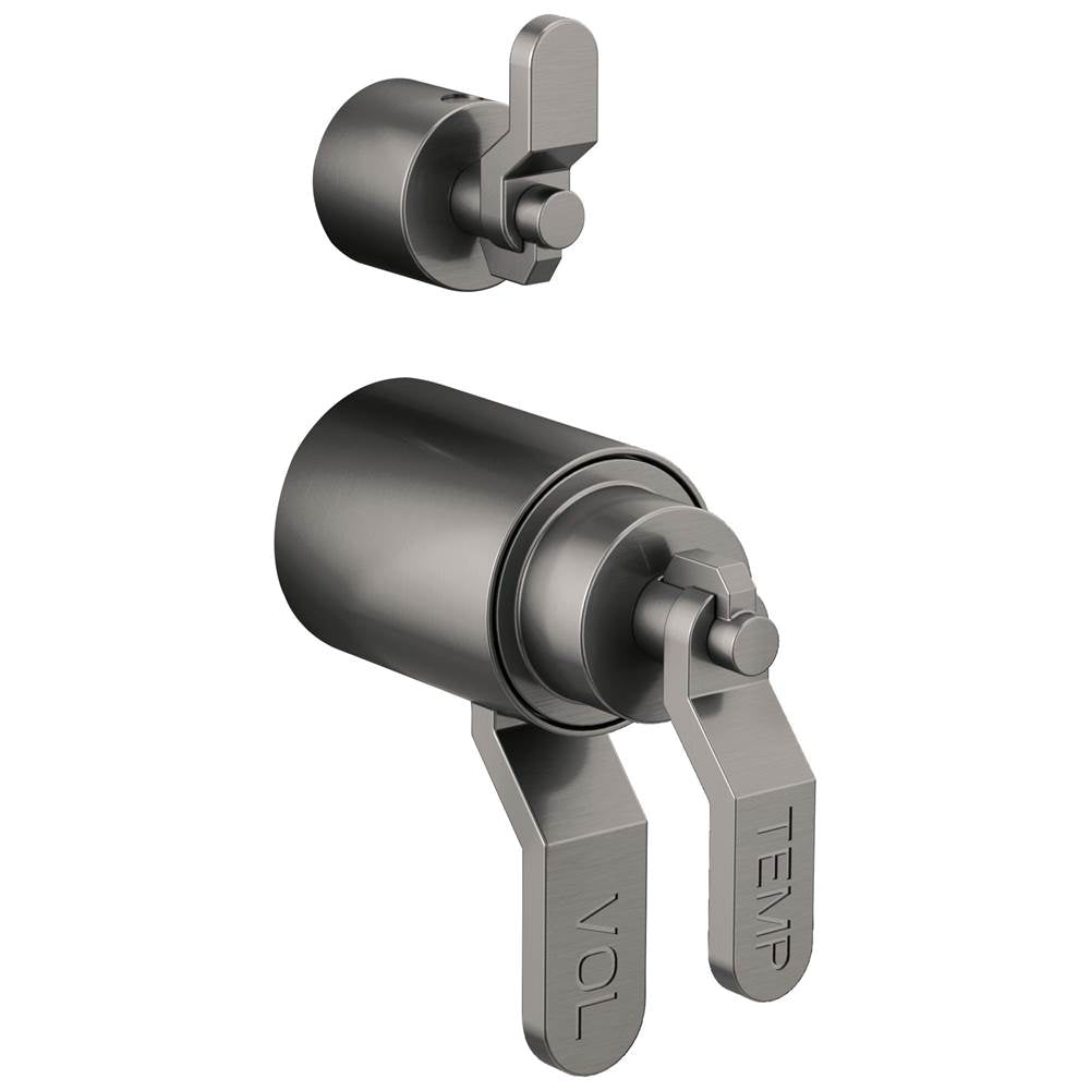 Litze  TempAssure  Thermostatic Valve With Integrated Diverter Industrial Lever Handle Kit