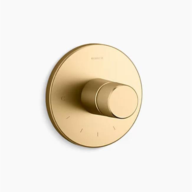 Components  MasterShower  temperature control valve trim with Oyl handle