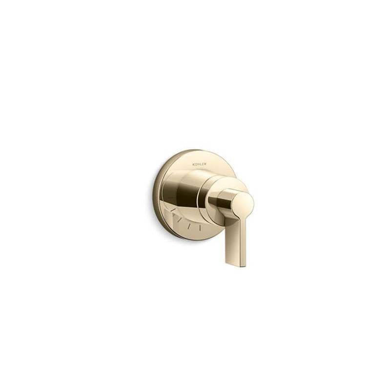Components  MasterShower  volume control valve trim with Lever handle