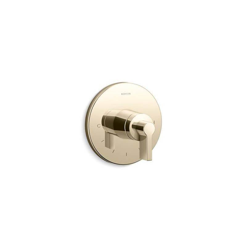 Components  MasterShower  temperature control valve trim with Lever handle