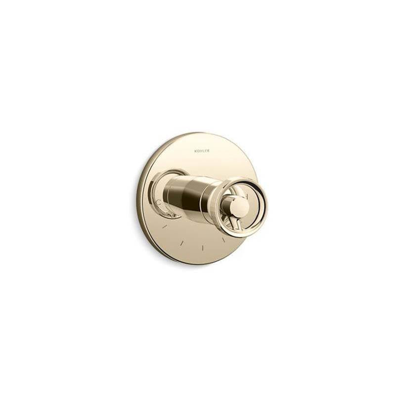 Components  MasterShower  temperature control valve trim with Industrial handle