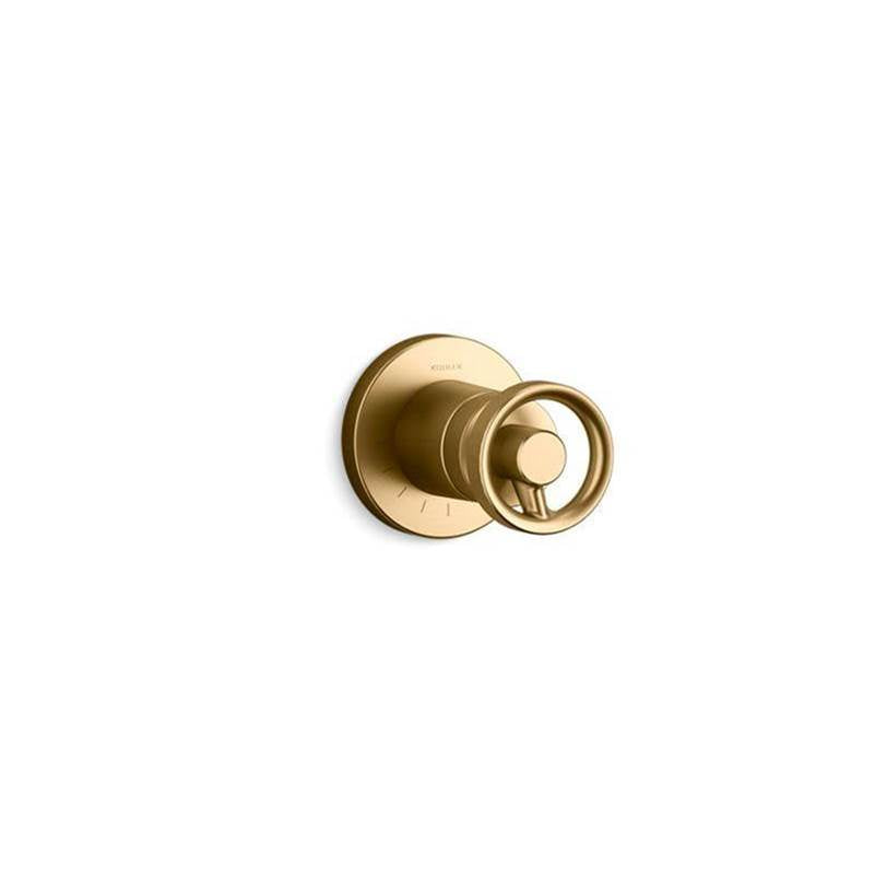 Components  MasterShower  volume control valve trim with Industrial handle