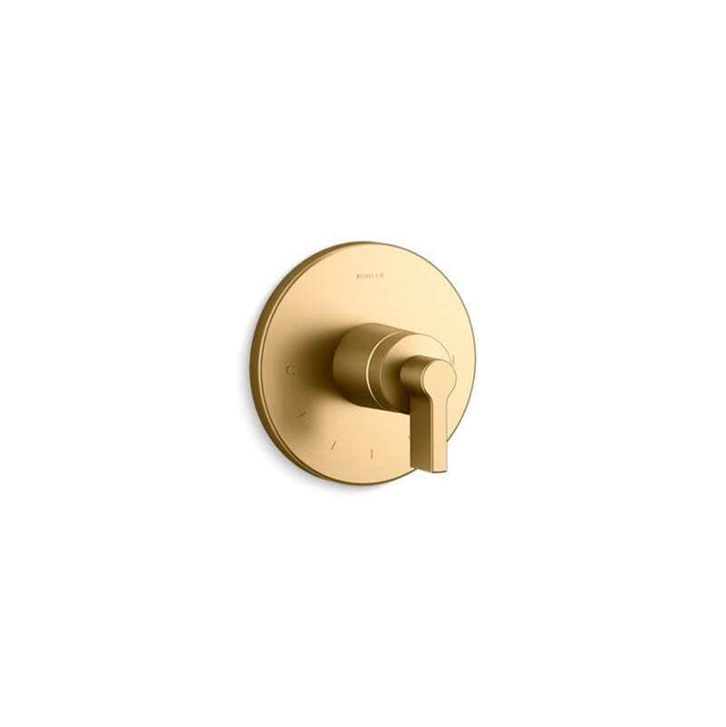 Components  MasterShower  temperature control valve trim with Lever handle