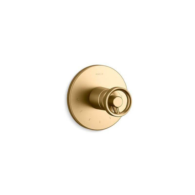 Components  MasterShower  temperature control valve trim with Industrial handle