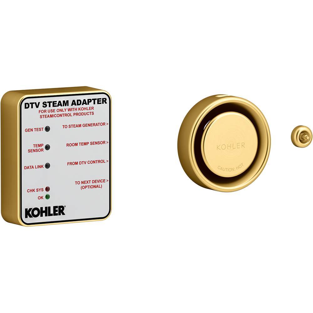 Invigoration  Series Digital steam adapter kit
