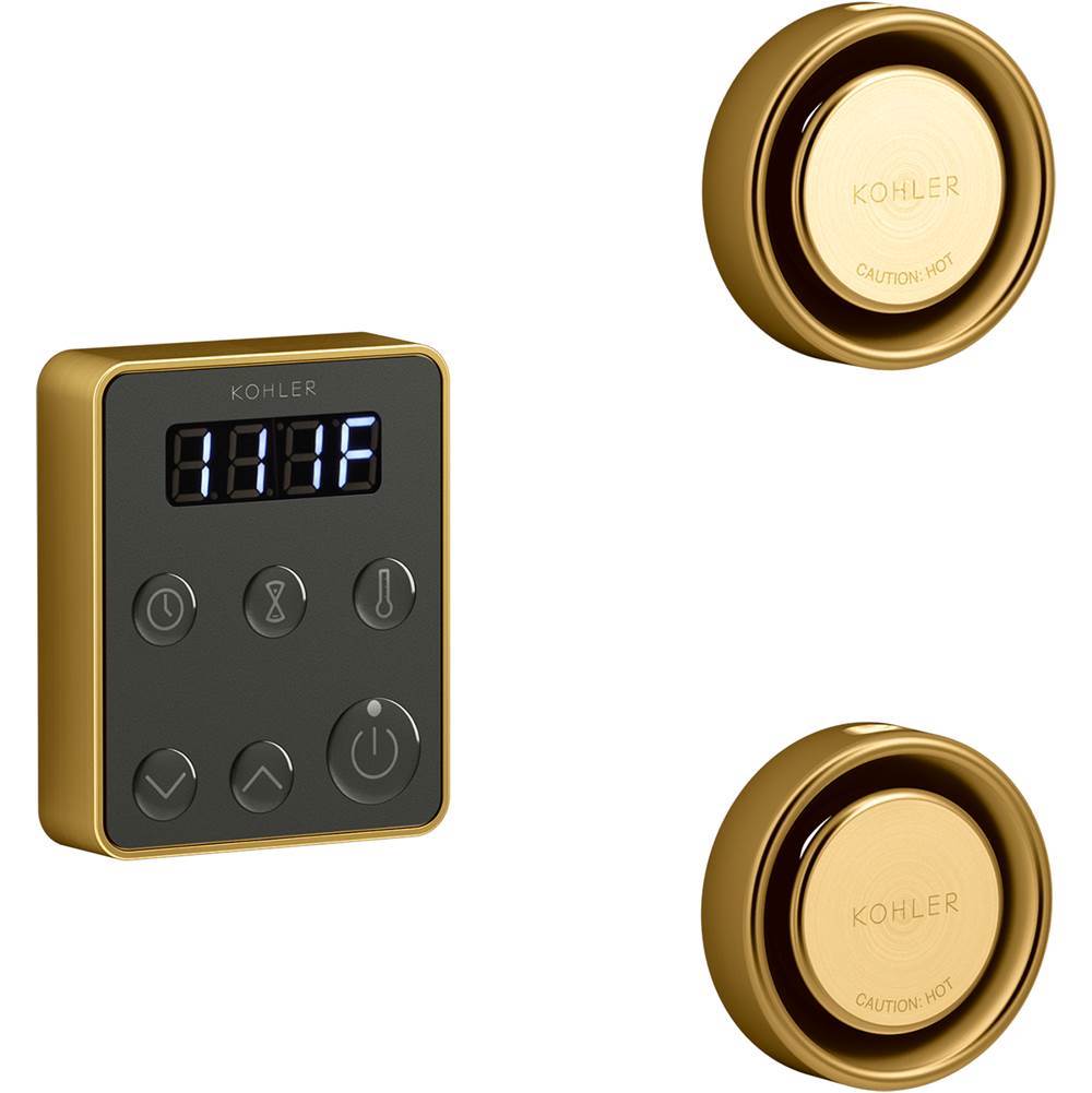 Invigoration  Series Tandem steam generator control kit