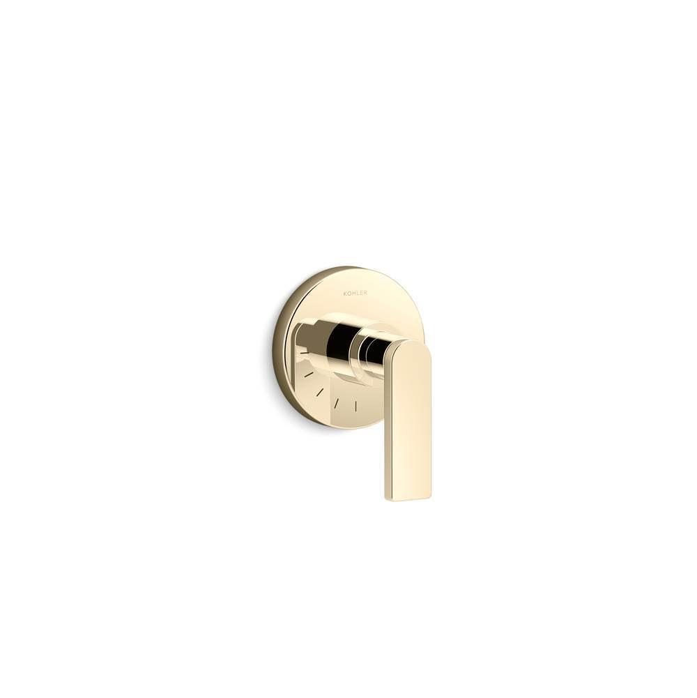 Composed  MasterShower  volume control valve trim with lever handle
