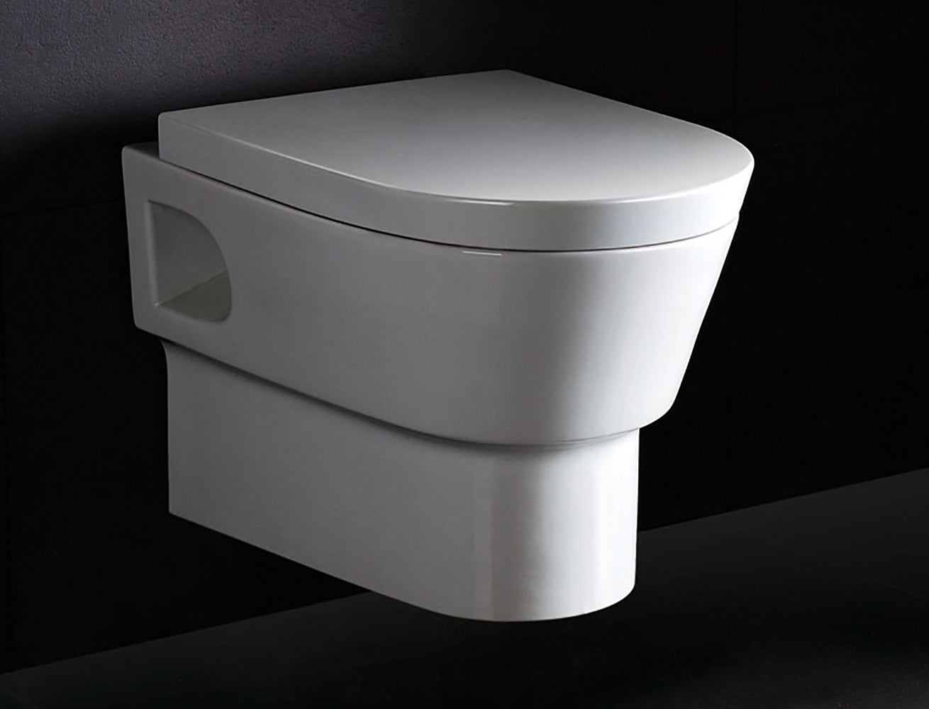 Dual Flush Toilet Bowl
