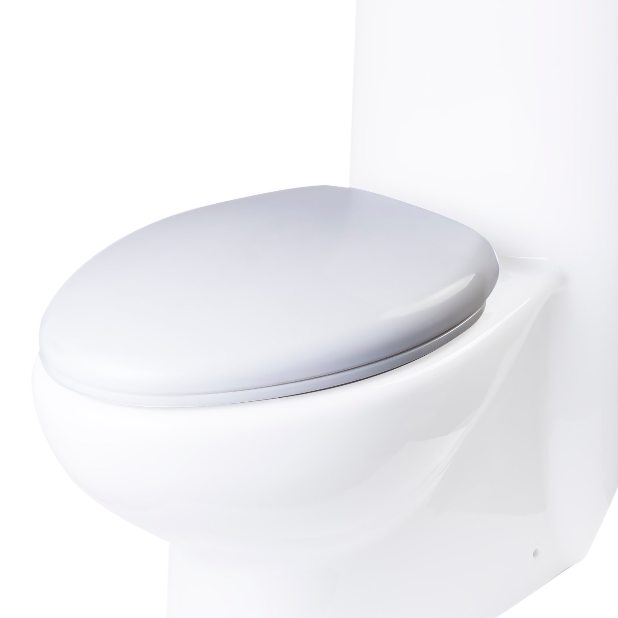 Toilet Seat For Tb309
